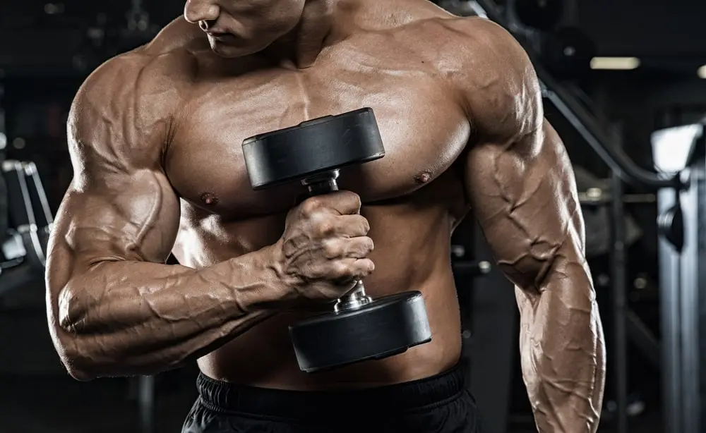 muscle hypertrophy