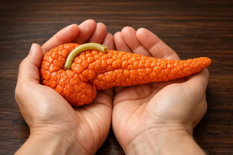 pancreas